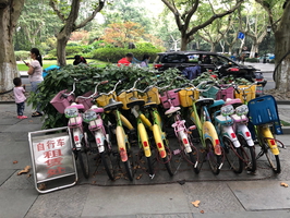 2019 Hangzhou / China - West Lake