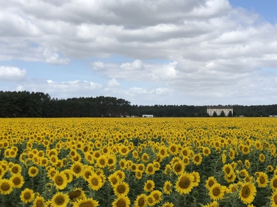 2022, Tangerhütte, Deutschland